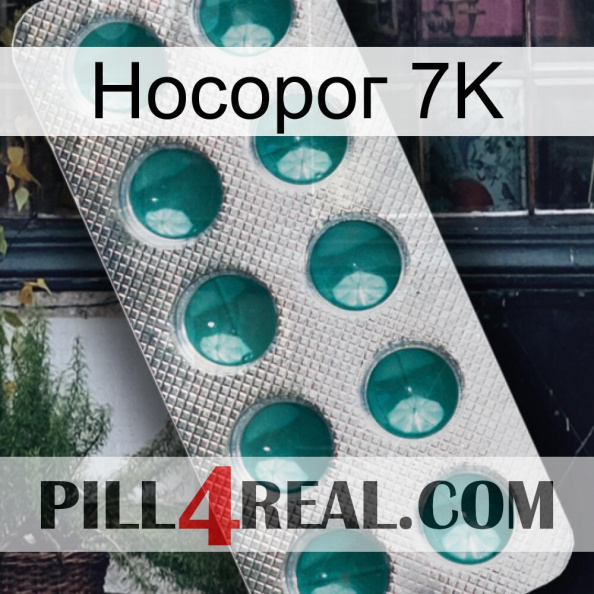 Носорог 7K dapoxetine1.jpg